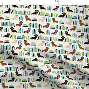 Dachshund Fabric - Dachshund Library Books, Book, Literature, Book, Doxie, Dog, Dogs By Petfriendly - Dachshund Fabric With Spoonflower