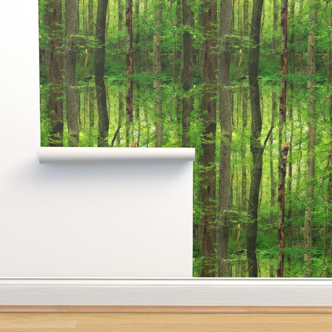 Dynamic The Heights In Feet Of The Trees For Sale Wallpaper in HD Dynamic The Heights In Feet Of The Trees For Sale Wallpaper in HD