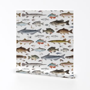 Fish Removable Peel and Stick Wallpaper - Fishing Salmon Cabin Trout Fisherman Lures - Wall Art Wall Decor - Fly Fishing by twigandmoth