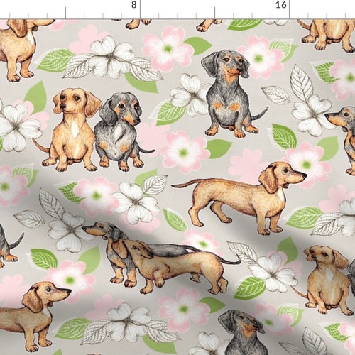 Doxie Fabric Dachshund Dog Pet Weiner Dog Colors Mint Cute Etsy