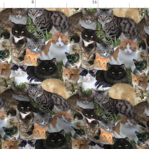 Cat Fabric - Kitty Kitten Calico Orange Black Photo Cat Montage Pet Cute By Eclectic House - Cotton Fabric By The Yard With Spoonflower