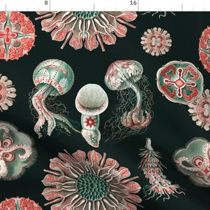 Jellyfish Fabric - Jellies On Black By Jellymania - Botanical Ocean Jellyfish Cotton Fabric By The Yard With Spoonflower