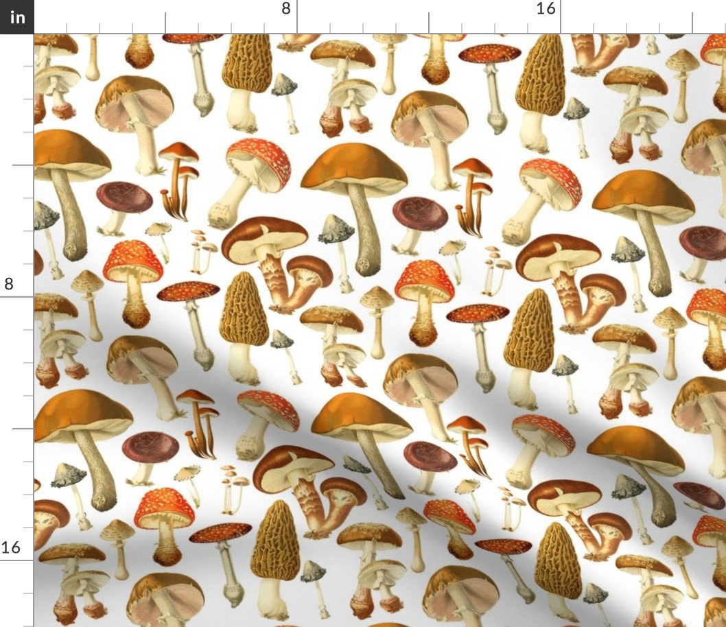 Mushroom Fabric Vintage Botanical Fungus Lg. by Etsy Canada