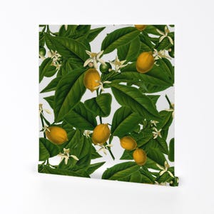 Lemons Wallpaper - Lemon Botanical By Peacoquettedesigns - Lemon Trees Custom Printed Removable Self Adhesive Wallpaper Roll by Spoonflower