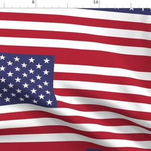 Puede incluir: Una bandera estadounidense roja, blanca y azul con un campo de estrellas azul en la esquina superior izquierda. La bandera ondea al viento.
