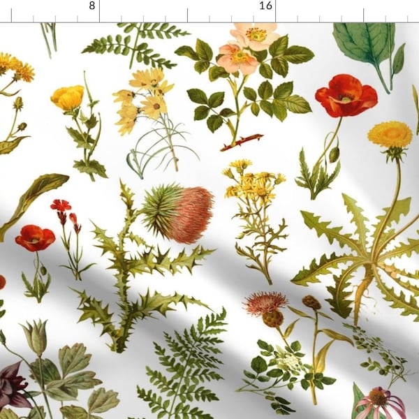 Botanicals Fabric - Vintage Botanical Wildflowers Lg. By Redbriarstudio - Botanicals Cotton Fabric By The Yard With Spoonflower
