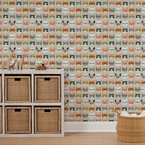 Cats Wallpaper Spectacular Cats by Cynthia Arre Orange - Etsy