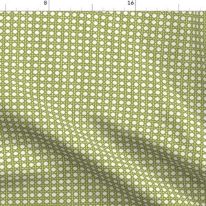 May include: A green and white woven pattern with a repeating circle design. The pattern is reminiscent of a wicker basket.