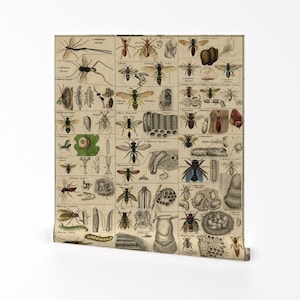 Insects Wallpaper - Bugging Out By Peacoquettedesigns - Entomology Custom Printed Removable Self Adhesive Wallpaper Roll by Spoonflower