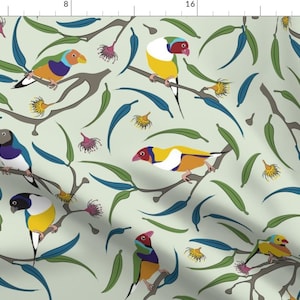 Rainbow Finch Fabric - Australian Gouldian (Rainbow) Finches By Colour Angel By Kv - Finch Birds Cotton Fabric By The Yard With Spoonflower