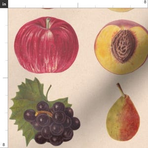Vintage Fruit Fabric - Vintage Fruit Assortment By Lyddiedoodles - Fruit Kitchen Decor Cotton Fabric By The Yard With Spoonflower image 3
