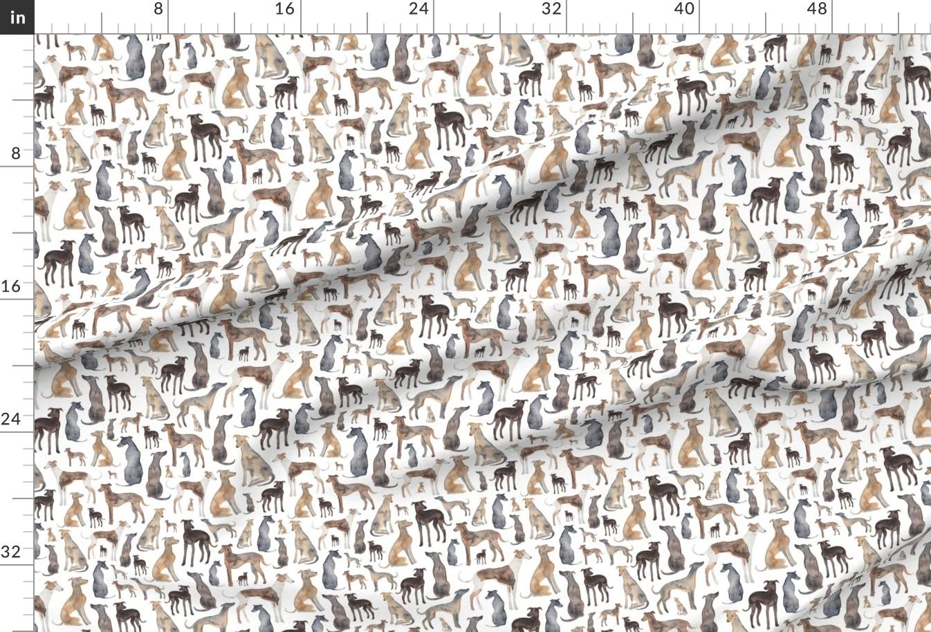 Greyhound Watercolors Fabric - Greyhounds, Wippets and Lurcher Dogs! by ...