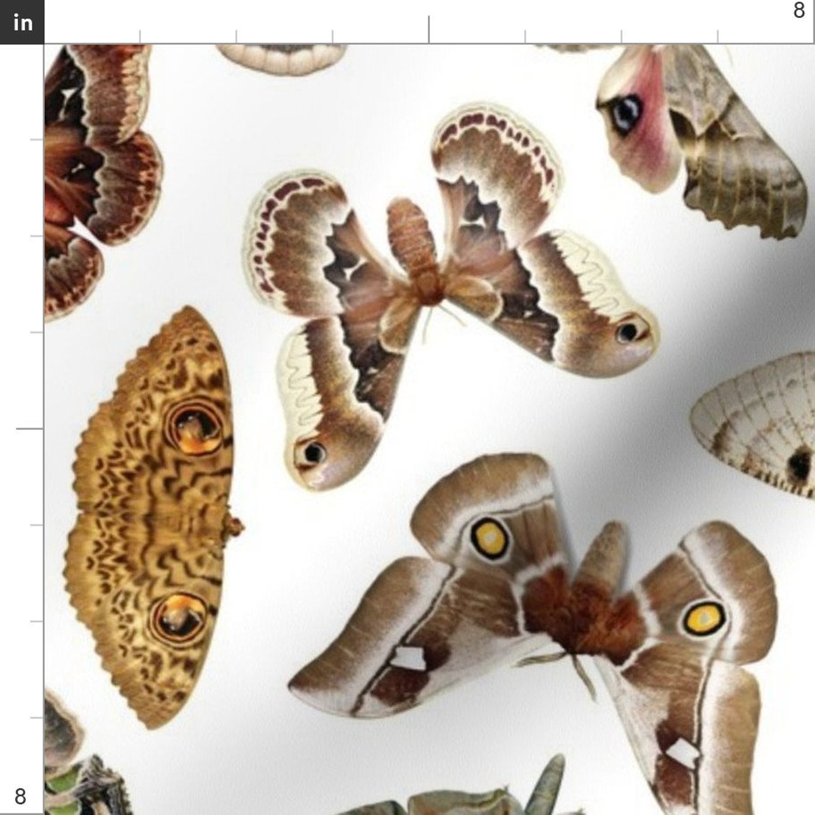 Vintage Moth Fabric Moths on White by Jellymania Moth Etsy