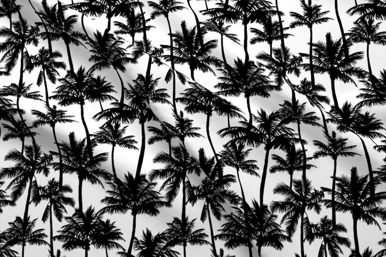 50+ Great Palm Trees Background Black And White - motivational quotes
