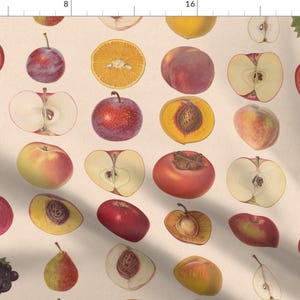 Vintage Fruit Fabric - Vintage Fruit Assortment By Lyddiedoodles - Fruit Kitchen Decor Cotton Fabric By The Yard With Spoonflower