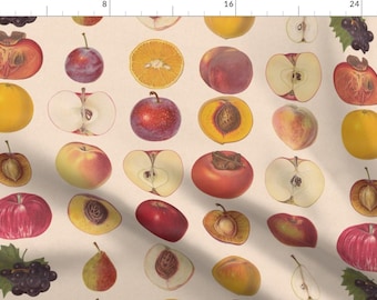 Vintage Fruit Fabric - Vintage Fruit Assortment By Lyddiedoodles - Fruit Kitchen Decor Cotton Fabric By The Yard With Spoonflower
