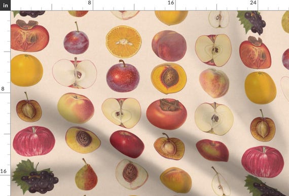 Vintage Fruit Fabric - Vintage Fruit Assortment By Lyddiedoodles - Fruit Kitchen Decor Cotton Fabric By The Yard With Spoonflower
