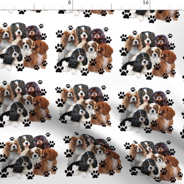 Cavalier Fabric - Cavaliers Colors By Dogdaze - Cavalier Dog Breed Paw Prints Brown Black White Cotton Fabric By The Yard With Spoonflower