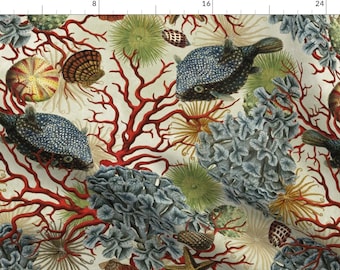 Aquatic Life Fabric - Illustrations Of Underwater Life By Honoluludesign - Coral Starfish Ocean Cotton Fabric By The Yard With Spoonflower