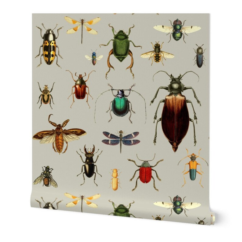 Bug Wallpaper Bugs Collection / Vintage / Tan by Shopcabin - Etsy