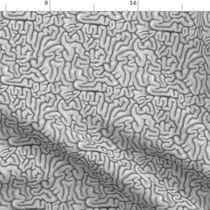 Gray Brains Fabric - Grey Brains By Sufficiency - Brains Anatomy Human Organ Body Part Halloween Cotton Fabric By The Yard With Spoonflower