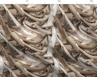Deer Antlers Fabric - Deer Antlers By J-Andrew - Deer Antlers Hunting Woodland Photographic Image Cotton Fabric By The Yard With Spoonflower