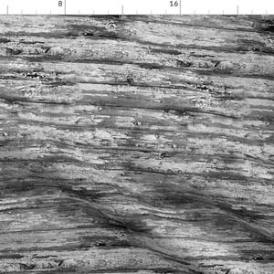 May include: A close-up of a weathered wood surface with a grey and black colour scheme. The wood has a natural grain pattern and shows signs of age and wear.