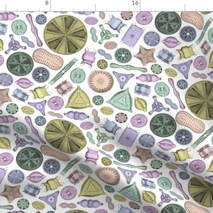 Diatoms Fabric - Diatoms On White By Jellymania - Pastel Vintage Marine Biology  Cotton Fabric By The Yard With Spoonflower