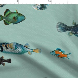 May include: A seamless pattern featuring various colourful fish on a light blue background. The fish include a black and white striped fish, a blue and green fish with a spiky fin, a black and white spotted fish, a blue and green fish with a spiky fin, a blue and white fish with a spiky fin, and a blue and white fish with a spiky fin.