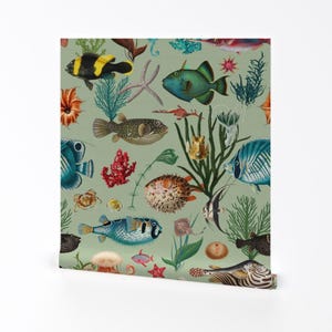 Fish Wallpaper - Oceania In Sage Green By Delinda Graphic Studio - Beach Tropical Fish Removable Self Adhesive Wallpaper Roll by Spoonflower