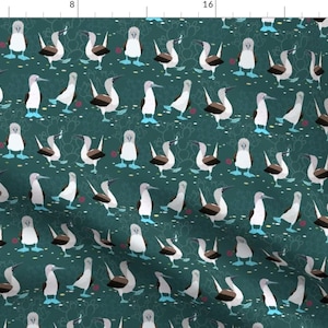 Seagull Bird Green Fabric - Beautiful Blue Footed Booby Family By Avisnana - Birds On Green Cotton Fabric By The Yard With Spoonflower