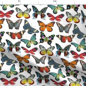 Butterflies Fabric - Butterfly Paintings By Angelaanderson - Butterflies Bug Insect Wings Cotton Fabric By The Yard With Spoonflower