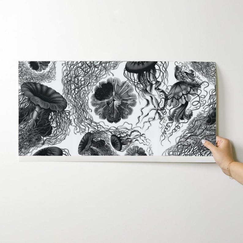 Sea Wallpaper - Jellyfish ~ Black White Swarm By Peacoquettedesigns - Custom Printed Removable Self Adhesive Wallpaper Roll by Spoonflower image 9