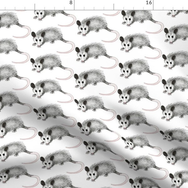 Possum Fabric - Possum By Rachel Wilson - Possum Woodland Nature Wildlife Gray Black Blush White Cotton Fabric By The Yard With Spoonflower