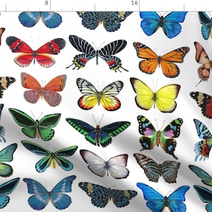 Butterfly Collection Fabric - Colorful Butterflies By Angelaanderson - Butterfly Bug Insect Wings Cotton Fabric By The Yard With Spoonflower