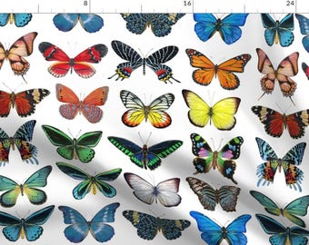 Butterfly Collection Fabric - Colorful Butterflies By Angelaanderson - Butterfly Bug Insect Wings Cotton Fabric By The Yard With Spoonflower