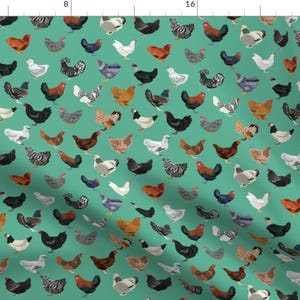 Chicken Fabric - Chicken Breeds By Petfriendly - Green Rooster Farmhouse Rustic Trendy Animals Cotton Fabric By The Yard With Spoonflower