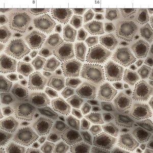 Fossil Fabric - Petoskey Stone - Large Scale By Kahoxworth - Petoskey Stone Fossil Brown Beige Cotton Fabric By The Yard With Spoonflower