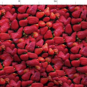 Strawberry Fabric - Fresh Strawberries! By Peacoquettedesigns Summer Fruit Berry Photo Repeat - Cotton Fabric By The Yard With Spoonflower