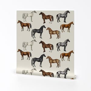 Equestrian Removable Peel and Stick Wallpaper - Stallion Horse Lovers Horse Farm - Wall Art Wall Decor - Vintage Horses by thistleandfox