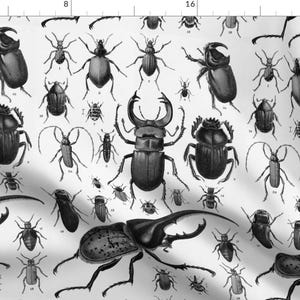 May include: A black and white illustration of various beetle species. The beetles are drawn in a detailed and realistic style, with intricate markings and textures. The illustration is perfect for a nature lover or entomologist.