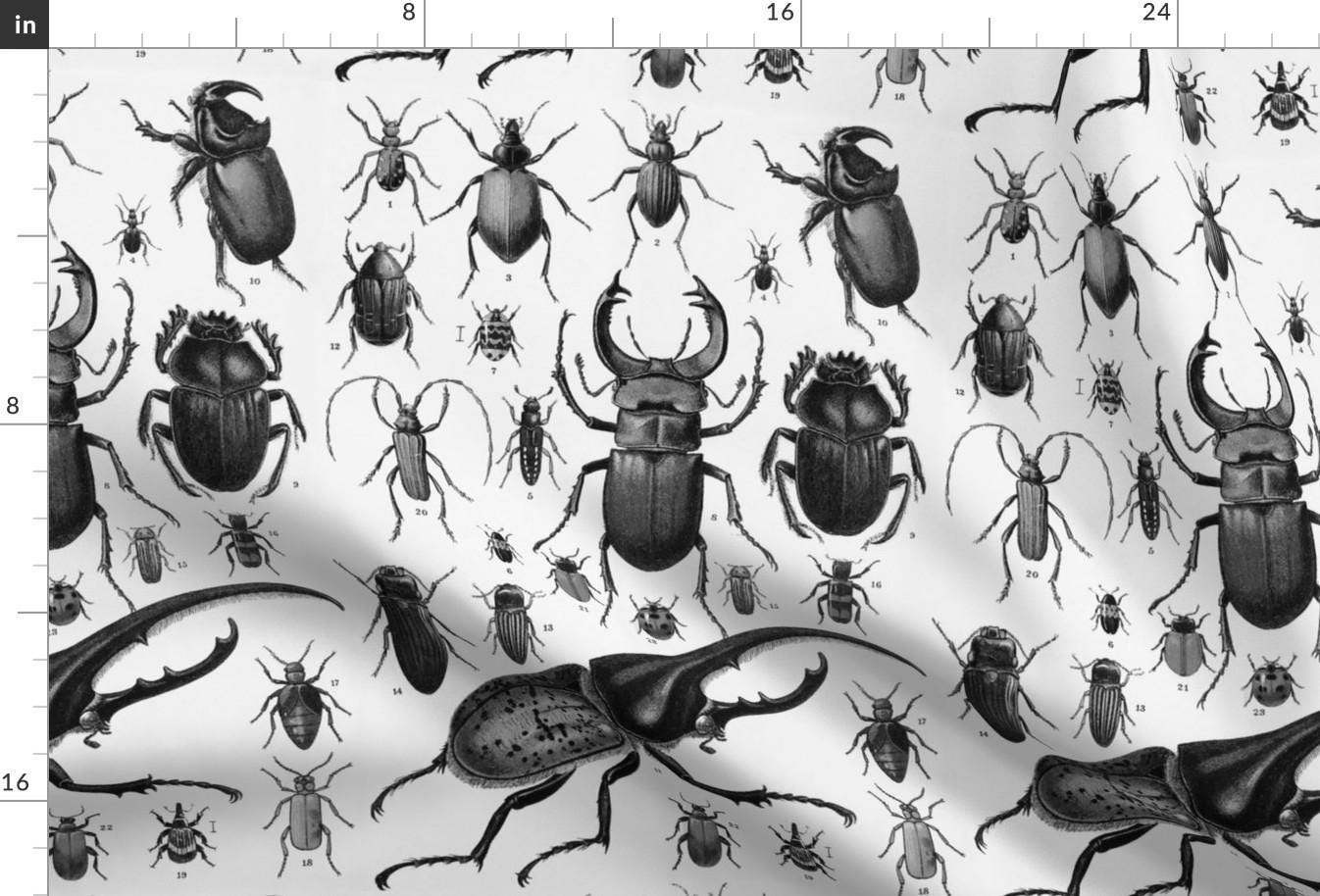 Insect Taxonomy Fabric - Beetles Insect Taxonomy Print Engraving Bug By Magnoliacollection - Cotton Fabric by the Yard With Spoonflower