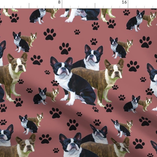 Boston Terrier Puppy Fabric - Boston Terrier And Pawprints By Dogdaze - Boston Terrier Pet Decor Cotton Fabric By The Yard With Spoonflower