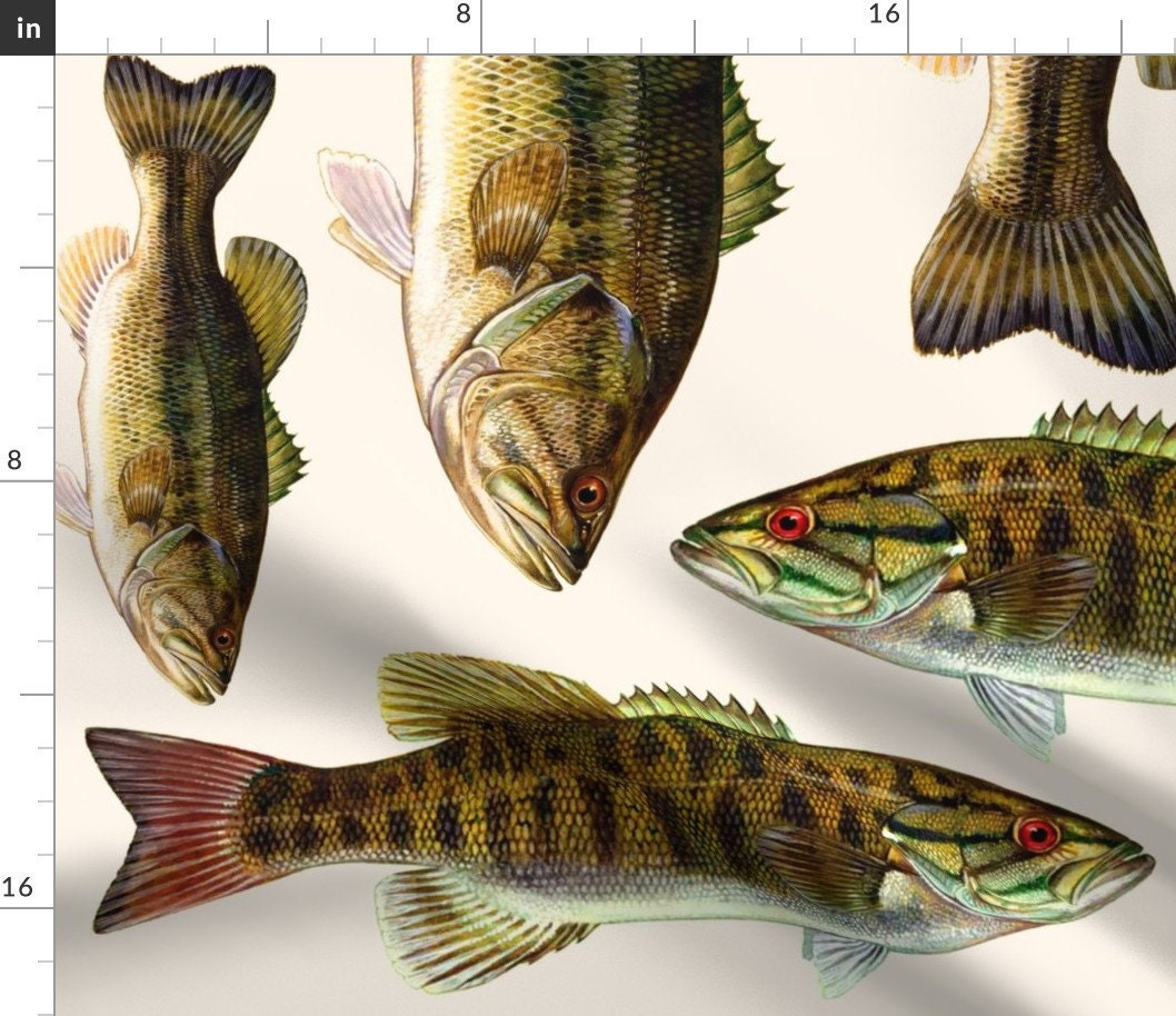 Largemouth Fabric, Wallpaper and Home Decor