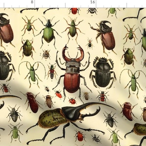 Pode incluir: Uma ilustração vintage que apresenta uma variedade de besouros e insetos, incluindo besouros veados, gorgulhos e joaninhas. Os insetos são representados em vários tons de verde, marrom, vermelho e preto, e estão dispostos em um padrão repetitivo sobre um fundo de cor creme.