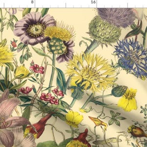 Botanical Wildflowers Fabric - Bloomin' Lovely Cream By Peacoquettedesigns - Summer Flowers Cotton Fabric By The Yard With Spoonflower