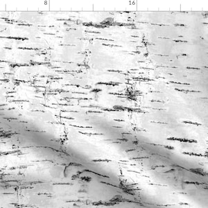 Woodland Fabric - Birch Bark  by katevasilchenko - Birch Trees White Gray Neutral Birch Textured Look  Fabric by the Yard by Spoonflower