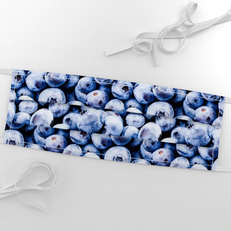 Blueberry Fabric Blueberries Small by Versodile Blueberry Etsy Canada