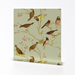 Australia Wallpaper - Birds ~ Sylvan By Peacoquettedesigns - Australia Custom Printed Removable Self Adhesive Wallpaper Roll by Spoonflower