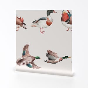 Hand Painted Ducks Removable Peel and Stick Wallpaper - Wings Waterfowl Wildlife Cabin  - Wall Art Wall Decor - Duck Art by thewaterbirds
